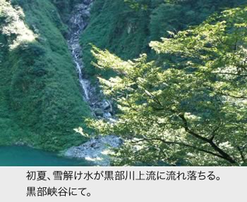 黒部の雪解け水