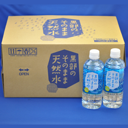 黒部のそのまま天然水(500ml×24本)